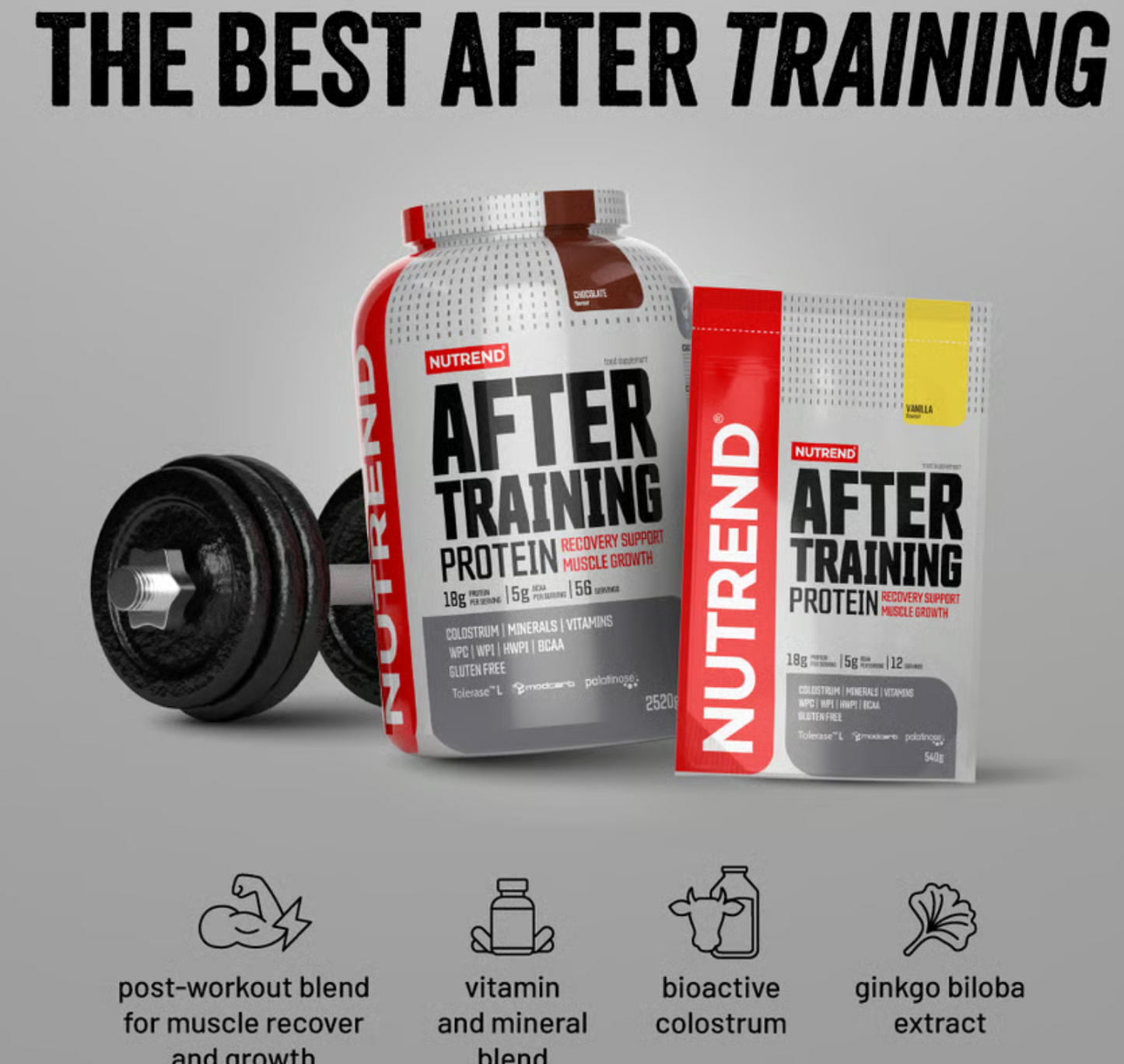 Nutrend After Protein training iSOLATE PROTEIN -2,5kg