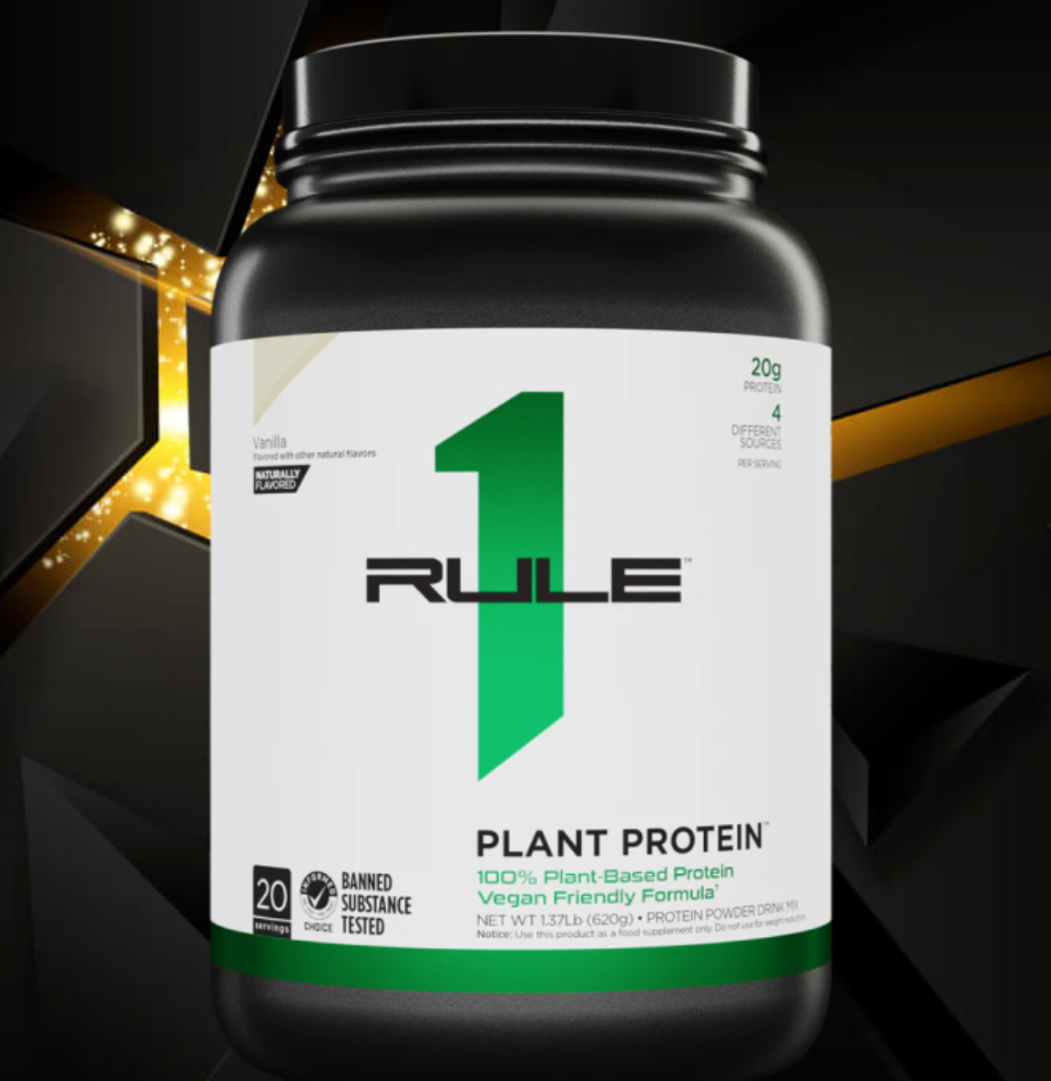 RULE ONE PLANT PROTEIN VEGAN -620G